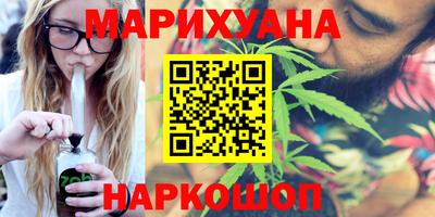сатива Лесосибирск
