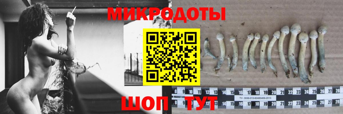 Псилоцибиновые грибы MAGIC MUSHROOMS  Псилоцибиновые грибы MAGIC MUSHROOMS  Вход с VPN  купить наркотик  Ишим 